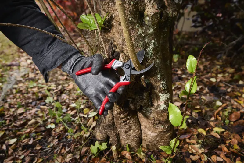 Zahradní nůžky Milwaukee 25 mm, 4932498621